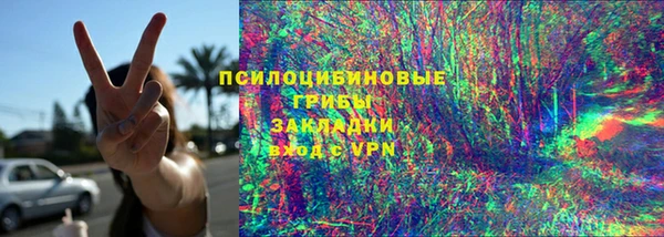 прущая мука Михайлов