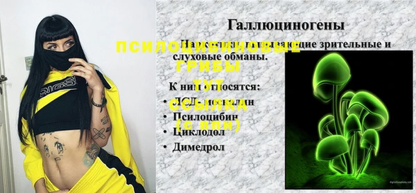 прущая мука Михайлов