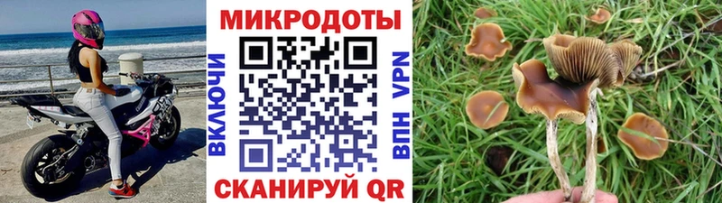 shop формула  Арзамас  Галлюциногенные грибы ЛСД 